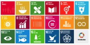 Figure 1: The United Nations 17 Sustainable Development Goals