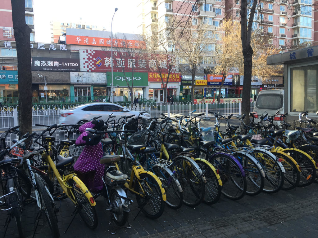Bicycles in Beijing (Miriam Aczel)