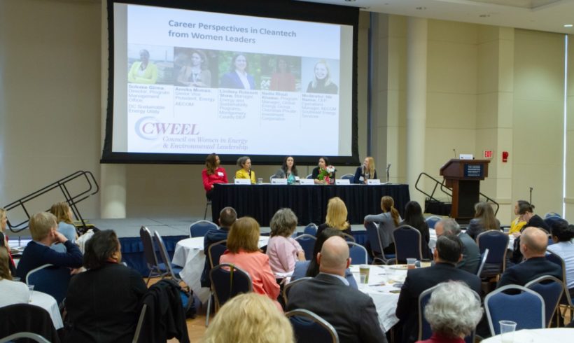 The Council on Women in Energy and Environmental Leadership (CWEEL) Luncheon Panel: Career Perspectives in Cleantech from Women Leaders