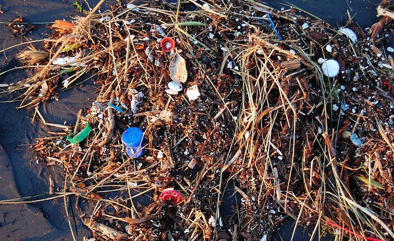 Ocean Microplastics are Multiplying
