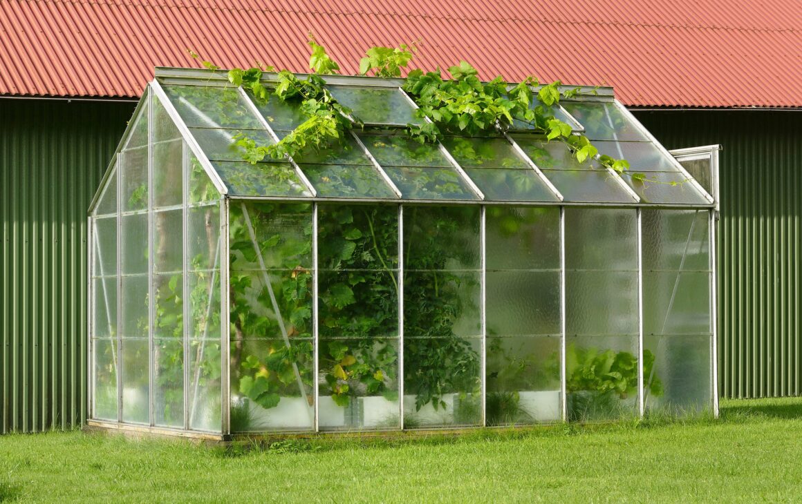 my research on greenhouse