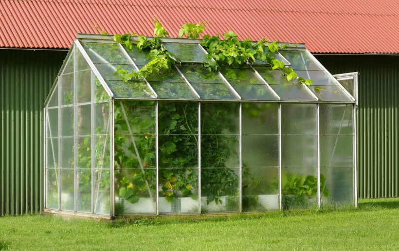 Building a Greenhouse? Research These 5 Things Before Starting