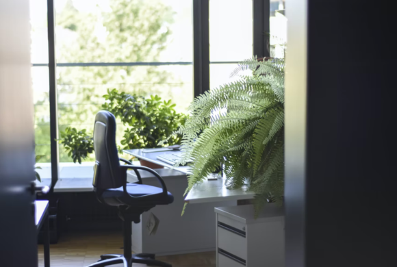 How to Make Your Office Building More Sustainable