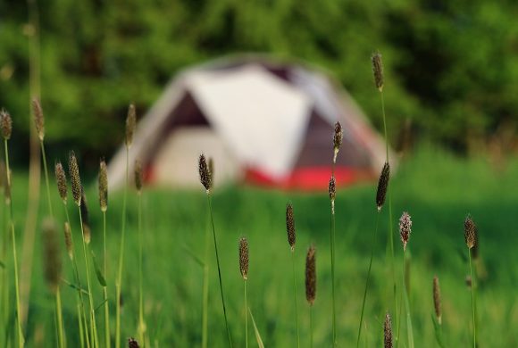 1024px-Camping_tent_grass