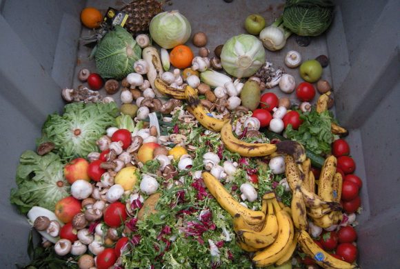 1024px-Trashed_vegetables_in_Luxembourg