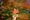 1280px-Hand_held_maple_leaf