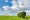 1920px-Wind_energy_Green_energy