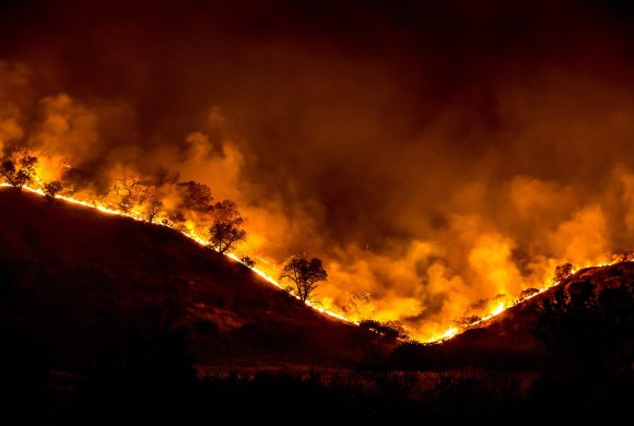 2560px-Woolsey_Fire_-_tree_ridge_in_flames_20181119-PB-008 2560px-Woolsey_Fire_-_tree_ridge_in_flames_20181119-PB-008