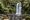 640px-Beech_Forest_(AU),_Great_Otway_National_Park,_Beauchamp_Falls_--_2019_--_1271
