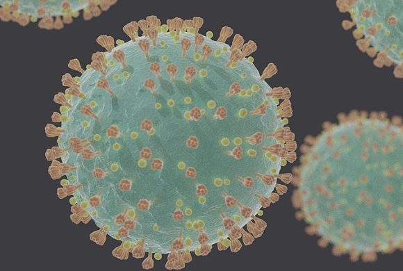 800px-Coronavirus_COVID-19_virus