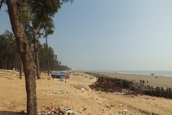 800px-Human_Putting_The_Most_Plastic_Waste_Into_The_Oceans