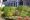 Chicago-City-Hall-Green-Roof_01