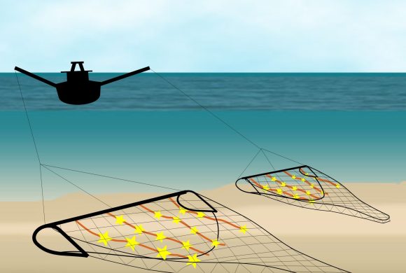 Ecomare_-_tekening_visserijtechniek_pulskor_(pulskor)_(cropped)