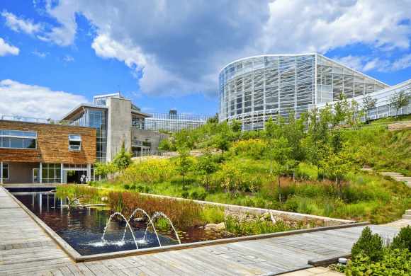 Green Buildings Photo for Regen Blog Article (1)