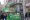 Manif_JeunesEcologistes_Grenoble_2014