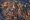 Plastic_Ocean_(4408273247)