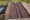 Worms_Fetzer-Vineyards-1-scaled.jpg