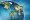 bulding_global_network