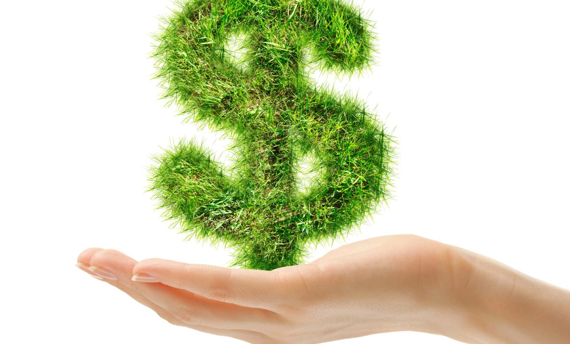 green_economy green_economy