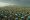 thumbnail_IMG_4898